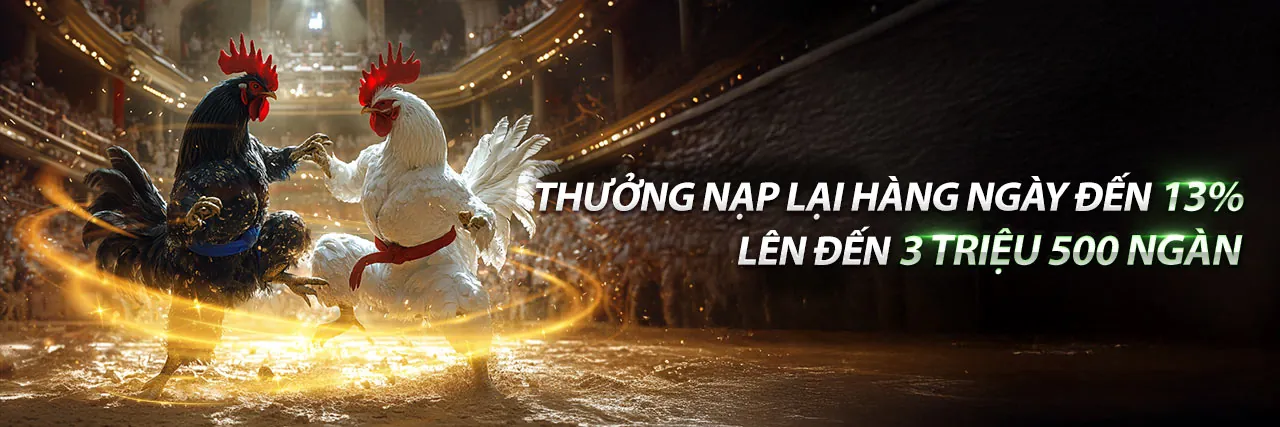 Đá gà trực tiếp đầy kịch tính tại Zalv App 2026